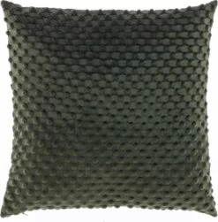 Unique Living - Kussen Kaat 45x45cm Winter Green