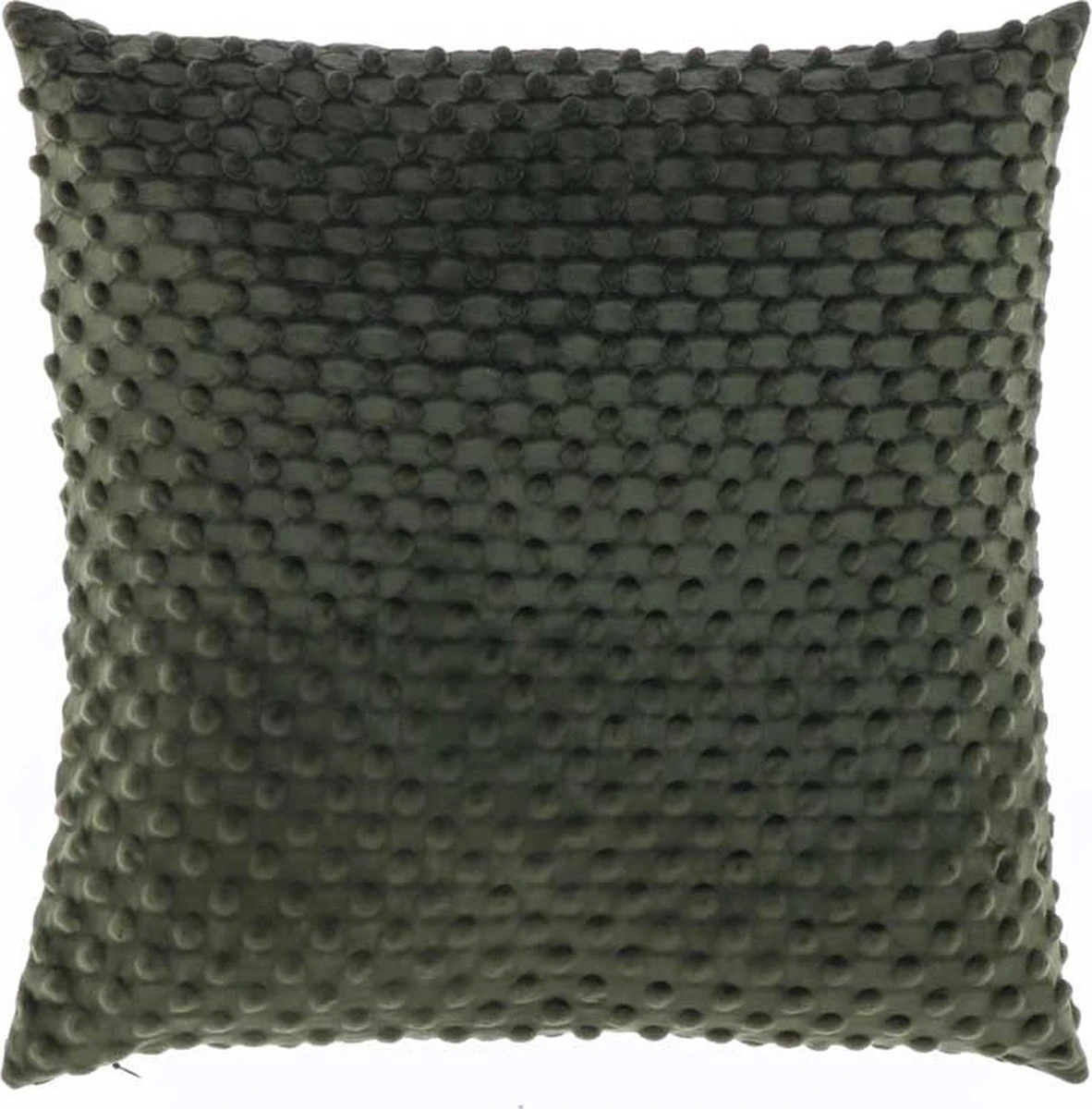 Unique Living - Kussen Kaat 45x45cm Winter Green 1 Unique Living - Kussen Kaat 45x45cm Winter Green