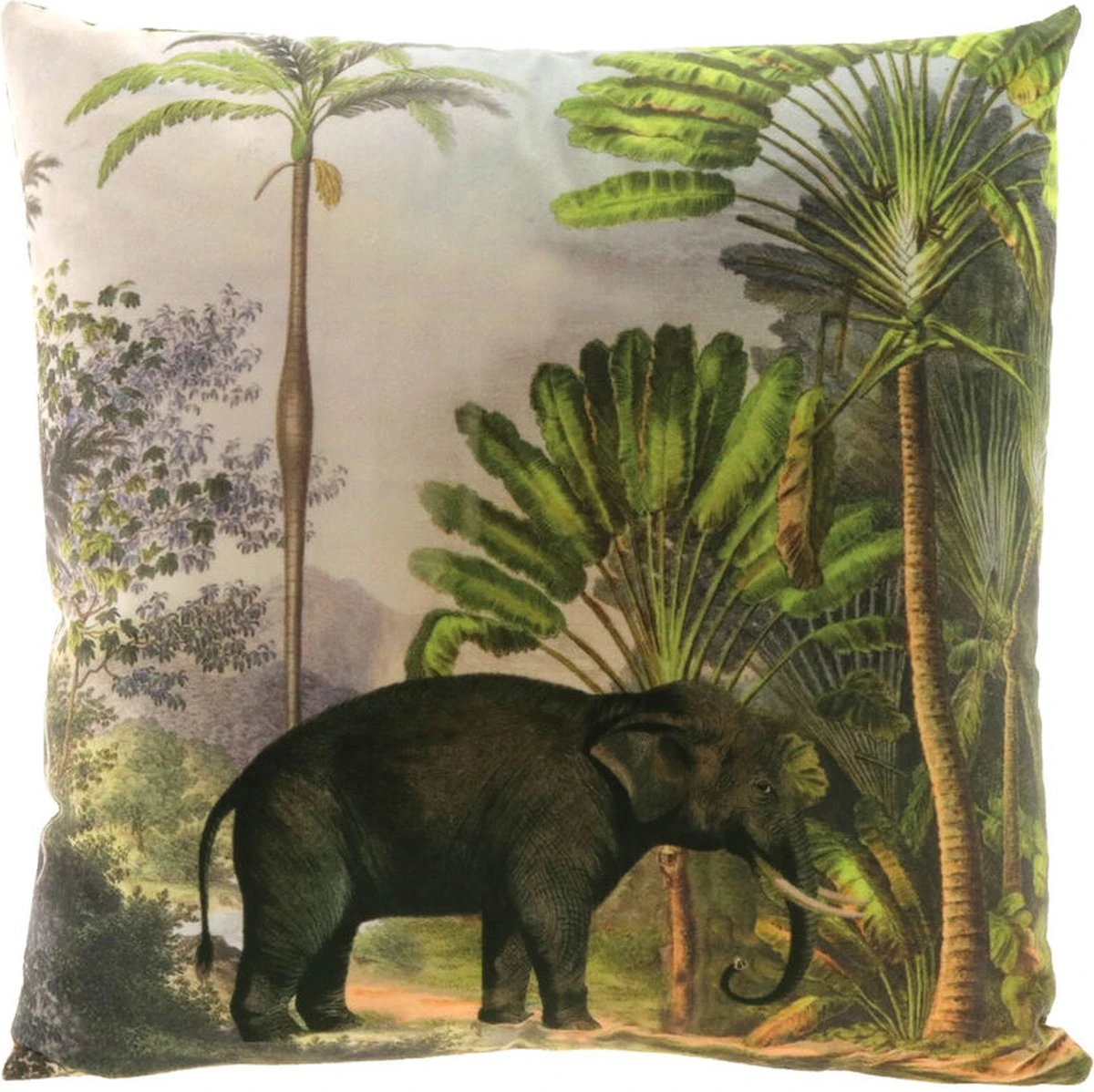 Unique Living | Kussen Exotic Print 45x45cm Dessin 2 | Kussen Woonkamer Of Slaapkamer 3 Unique Living | Kussen Exotic Print 45x45cm Dessin 2 | Kussen Woonkamer Of Slaapkamer - Afbeelding 3